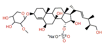 Echinasteroside A